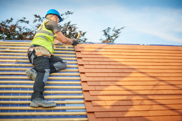 Professional Roofing services in Carlisle, IA